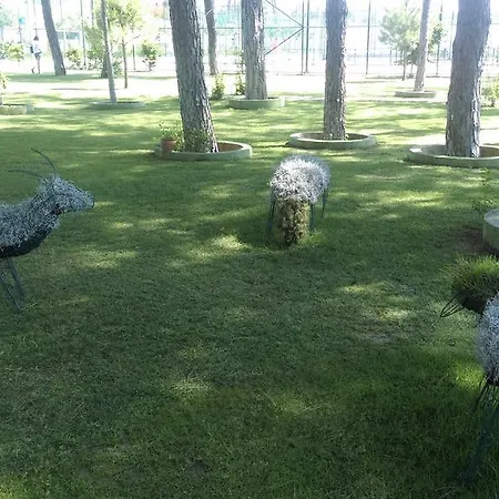 منتجع Zeynep